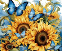 BLUE BUTTERFLY SUNFLOWER