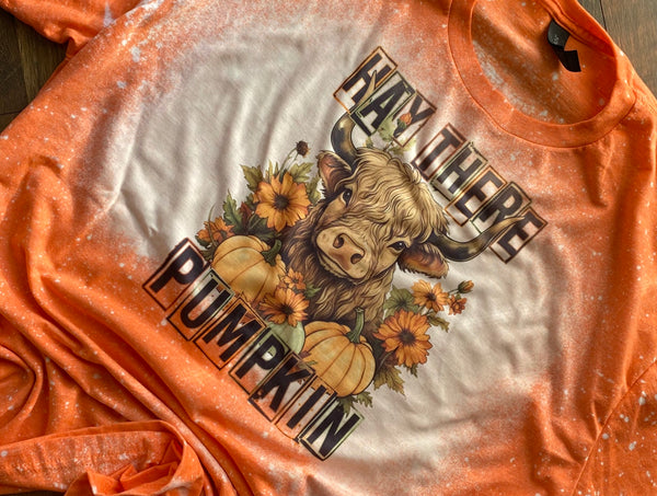 HEY THERE PUMPKIN T-SHIRT